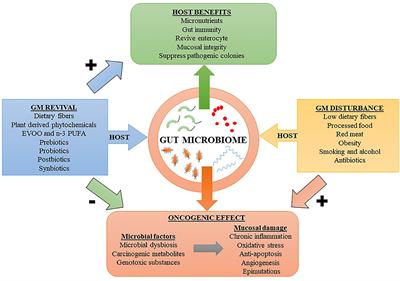 Frontiers | Emerging Evidence On The Effects Of Dietary Factors On The ...